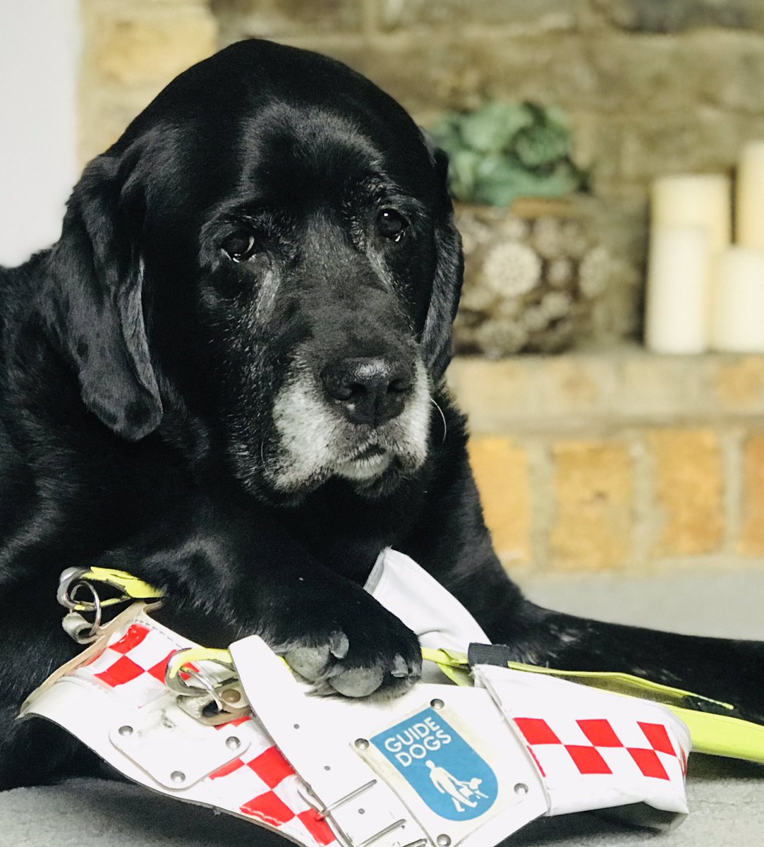 Usher Chic tweet media