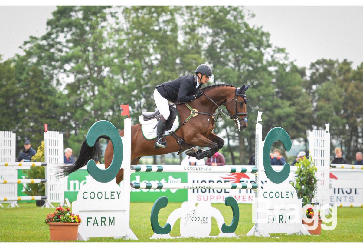 REDMILLSHorse's tweet photo. Super result for @TeamBragg Shannondale Mari moved up 12 places in the CCI2*-L after showjumping to finish in 3rd spot @Tatts2019 🏆#FeedYourDesireToWin #HorseCare10 https://t.co/qGaNhZWiao