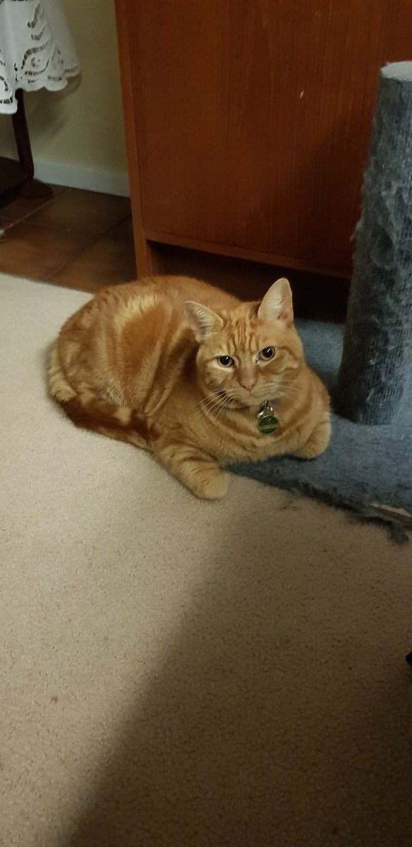 Cath Grant tweet media