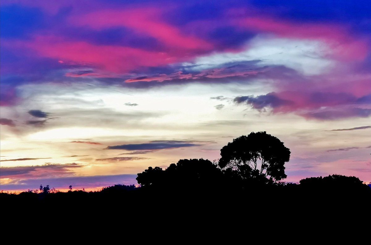 JuversonMabasa's tweet photo. "THE LAST DAY"
May 31, 2019
6:07 p.m.
@ Aquarius, Malaybalay City
#wallpapersforyou
#lockscreenphoto
#P30Pro
#juvermabasa
#BukidIsLife
#Malaybalay
#DalaygonAngDios https://t.co/O2yHAaHgp8
