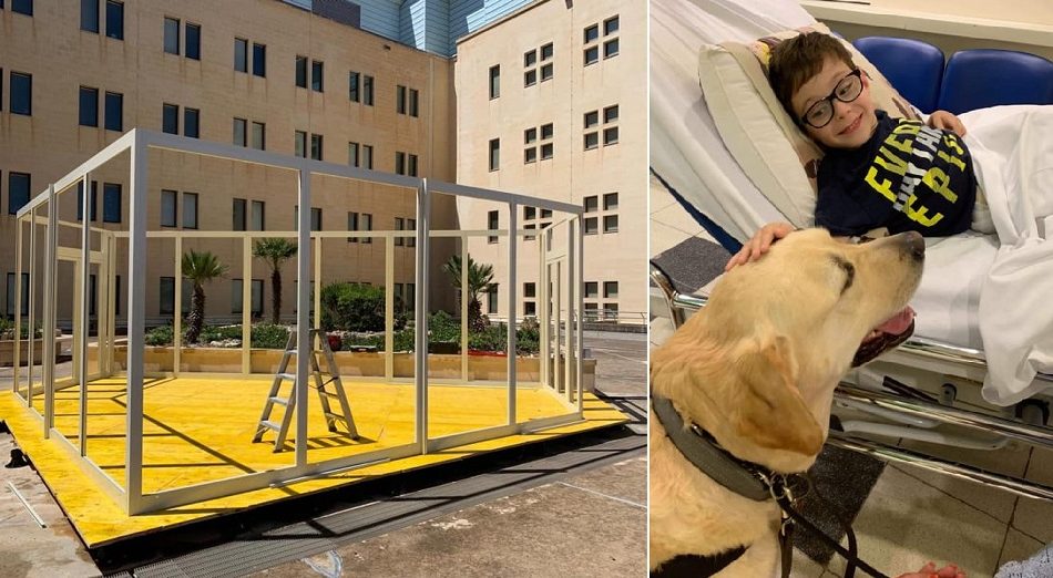 One step closer for dogs to visit their owners at Mater Dei - tvm.com.mt/en/news/a-clos…