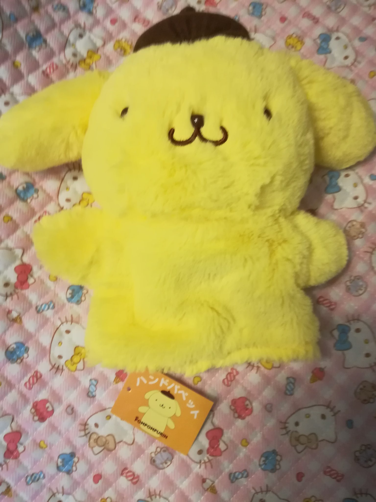 みみきてぃ on X: 