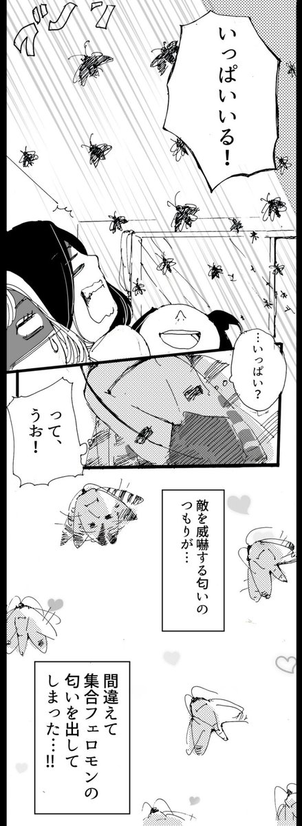 パパがカメムシになった話。2 