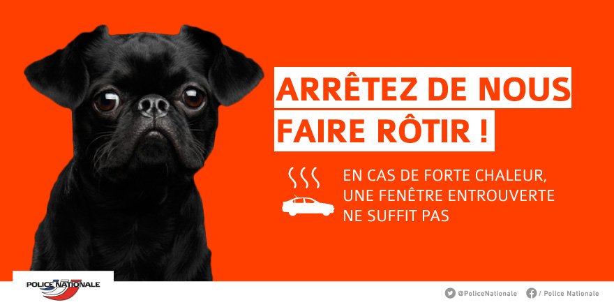 [ PRÉVENTION CHALEUR ] 🌞☉ Soleil et  chaleur ce week-end 

Vos animaux souffrent aussi de la chaleur ➡ pensez à  eux 🐕🐈