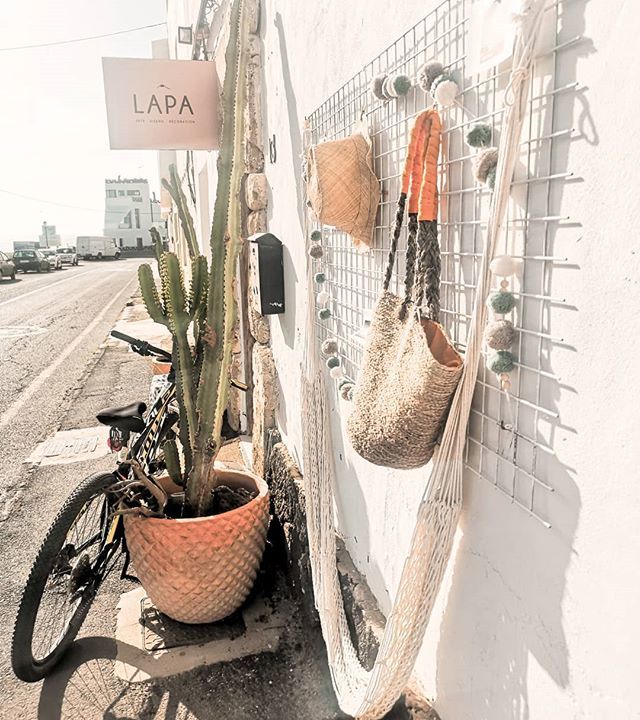 sweettravellers's tweet photo. Island vibes in fuerteventura 🌵 @lapa_studio - #mustshop
.
.
.
.
.
#fuertetribe #cotillo #corralejo #fuerteventura #fuertevidorra #igerscanarias #canarias #islascanarias #ok_canarias #designplaces #decoshop #interiordecorating #interiorobsessed #vsc… https://t.co/C8zDyIFoLr https://t.co/KColDOszFP