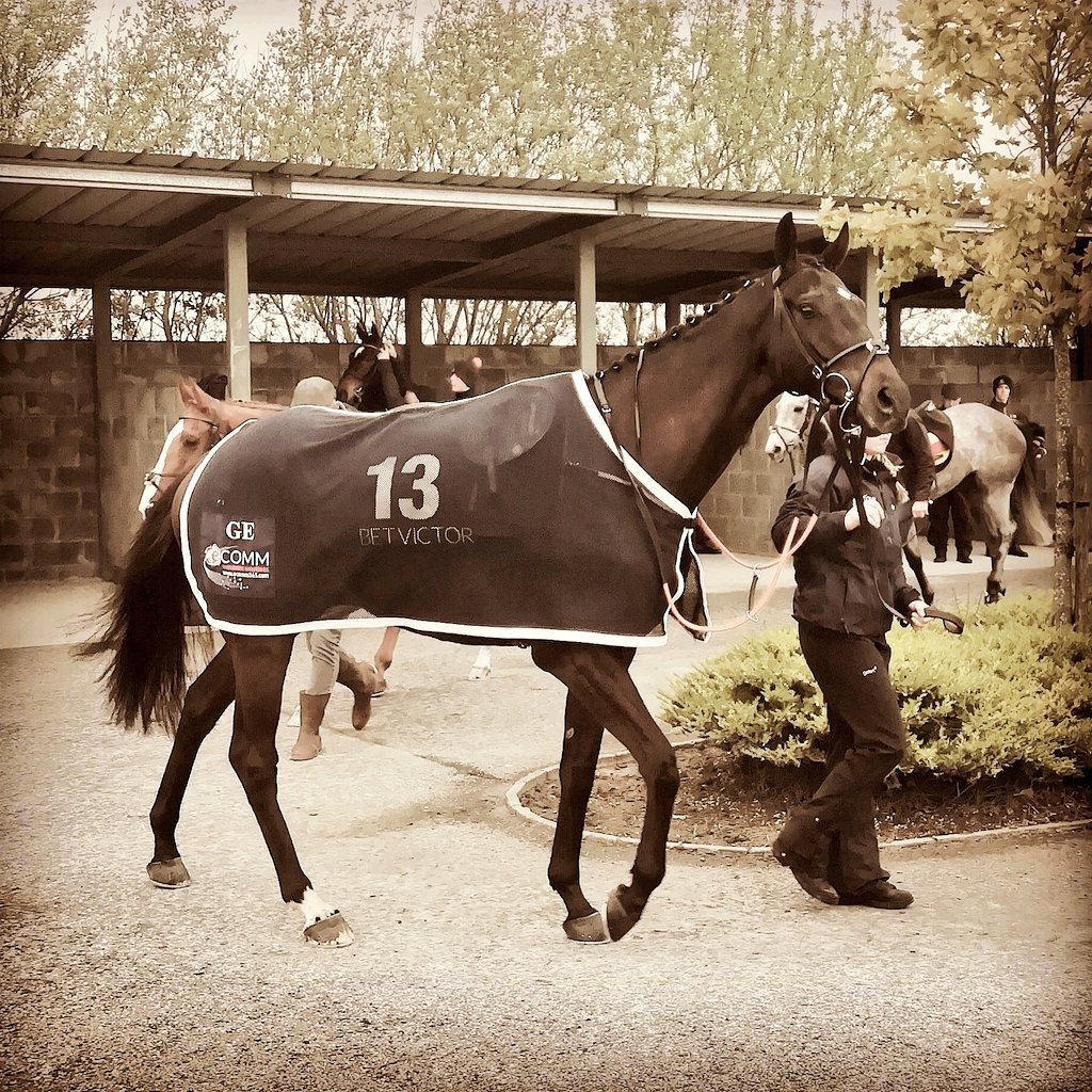 desertdove7's tweet photo. @deanwalker73 @alexhutter91 @TramoreRaces #GoodLuck #SafeRound #Tapenade &amp;#DavyRussell 🏇#GordonElliottRC #TramoreRaces https://t.co/dFWMADXgfS