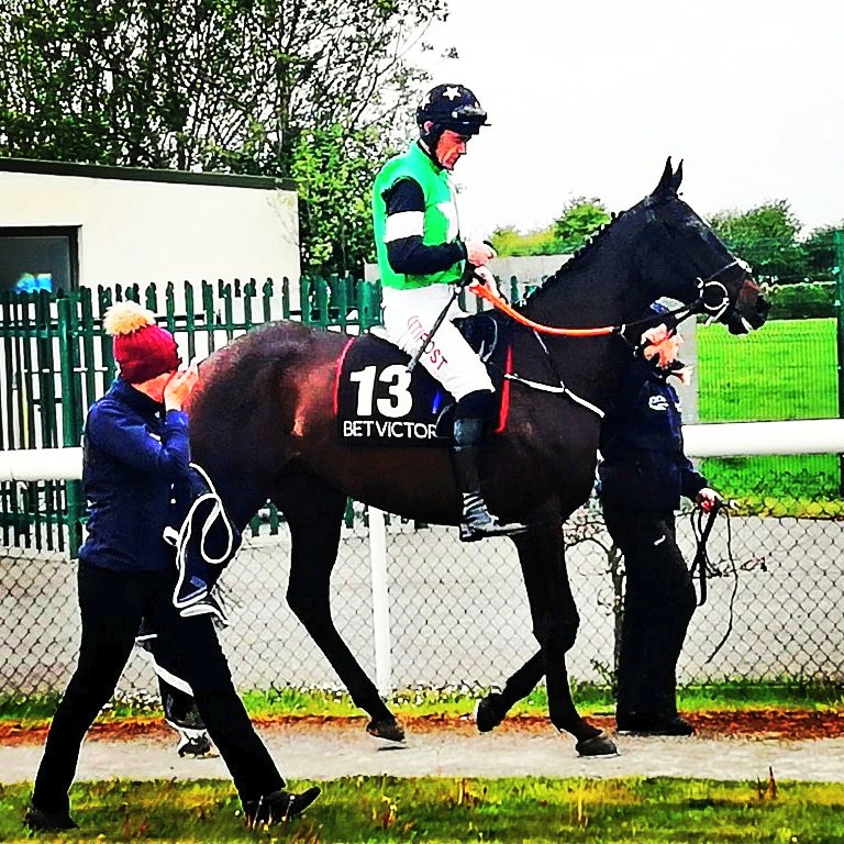 desertdove7's tweet photo. @deanwalker73 @alexhutter91 @TramoreRaces #GoodLuck #SafeRound #Tapenade &amp;#DavyRussell 🏇#GordonElliottRC #TramoreRaces https://t.co/dFWMADXgfS