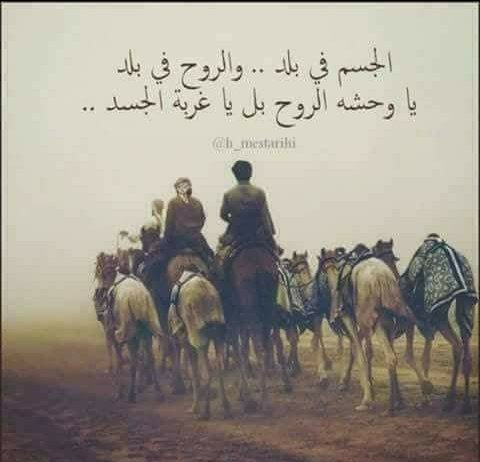 شمس الضحى ⁦⁦ (@faobvvxsx4luful) on Twitter photo 