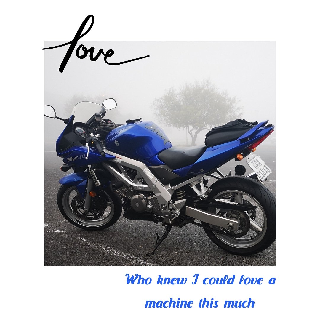 BeauSolms's tweet photo. I think my boyfriend might have some competition...
#suzukisv650s #suzuki #HisNameIsSonic #ridewiththegirls #earlymorningride #motorcycling #houtbay https://t.co/kBFA6oGdNH