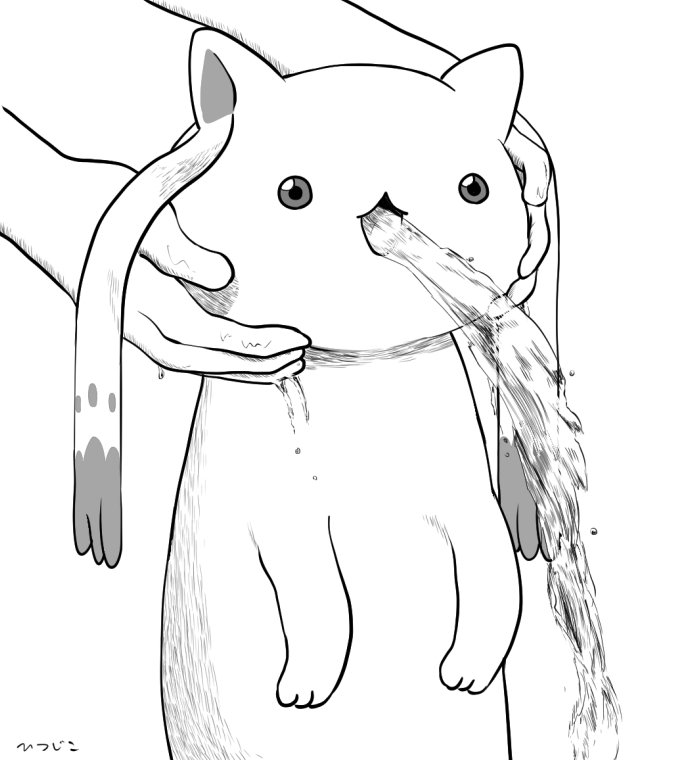 キュゥべえもすこって 