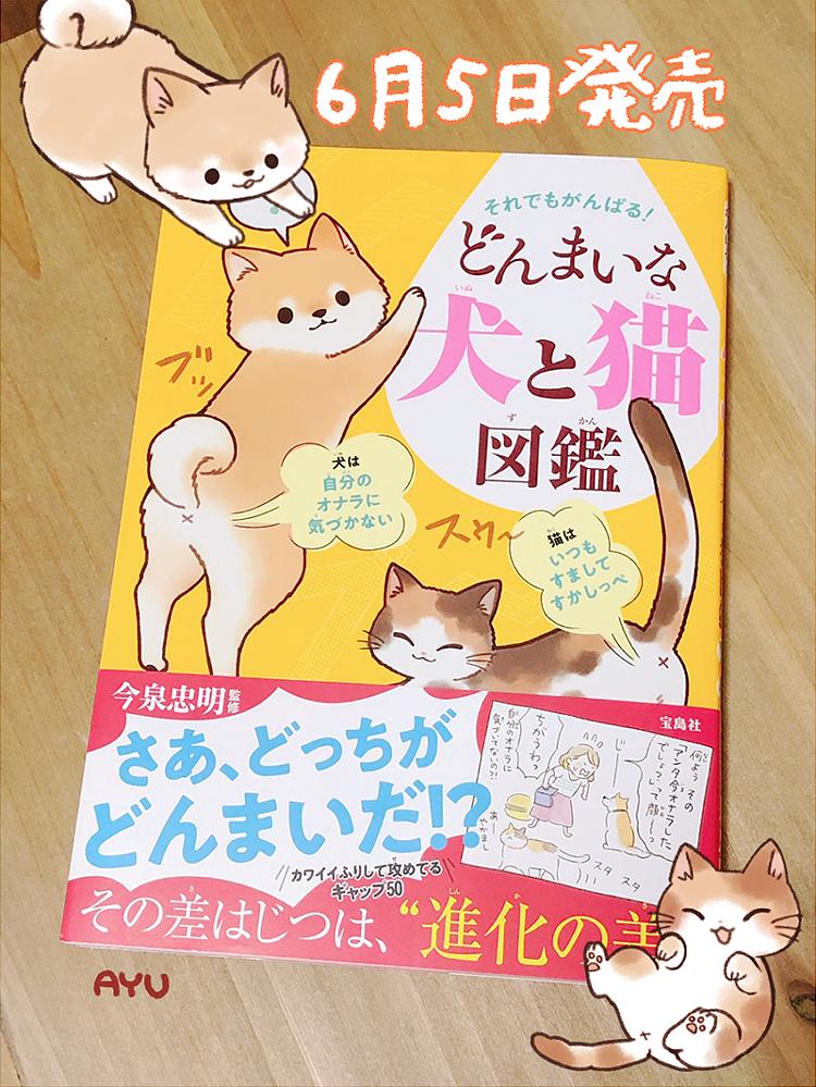 ?お仕事?
宝島社様より、どんまいシリーズ第4弾「それでもがんばる! どんまいな犬と猫図鑑」が6月5日(水)に発売されます。イラスト数点お手伝いしました!宜しくお願いします!https://t.co/Mw4Wj0LwWD 