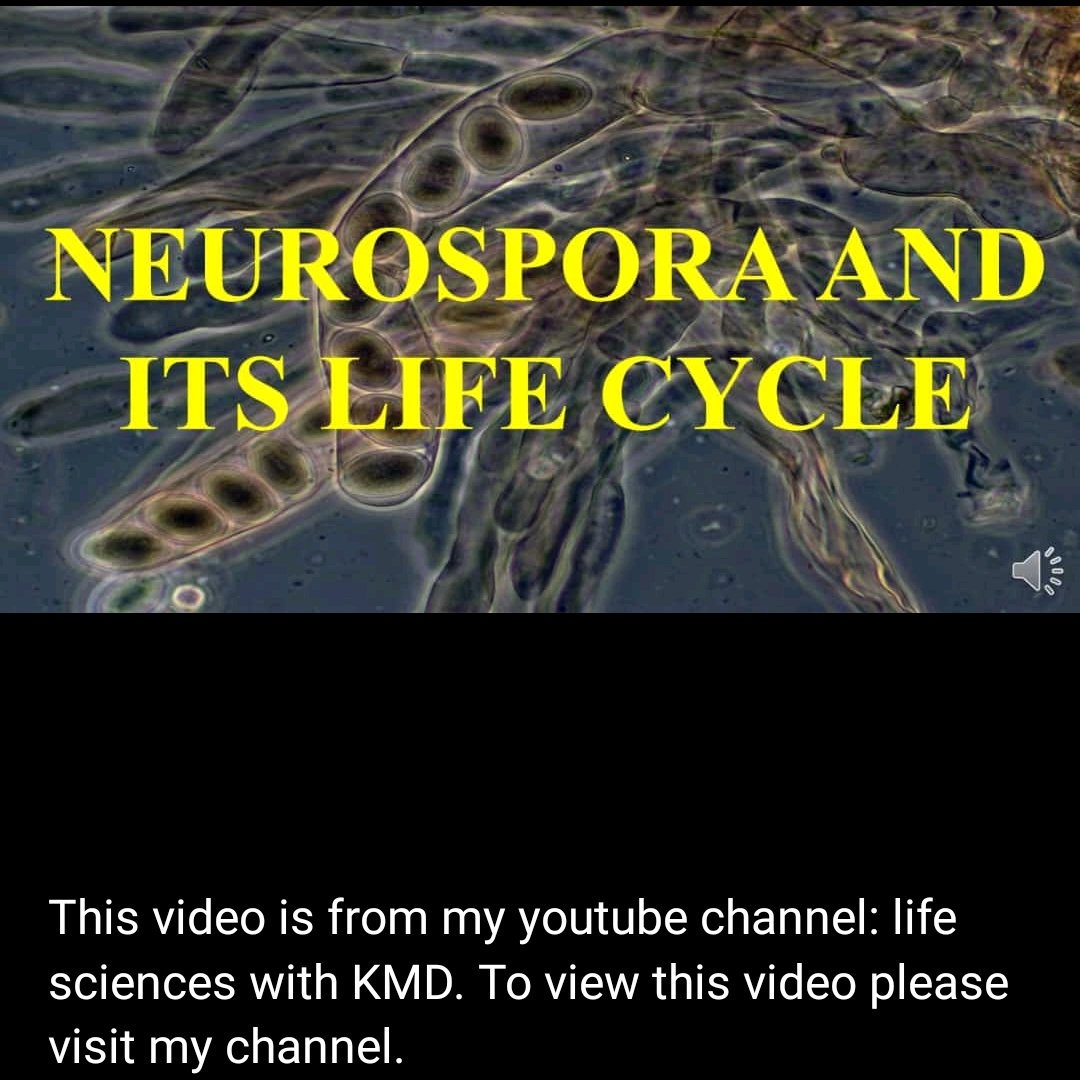 KmdWith's tweet image. 