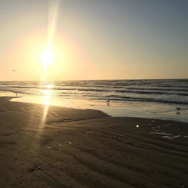 Eat. Beach. Sleep. Repeat. 🍍👙🏄⚓🏖😍🙌🏻 #seahabilitation bit.ly/2QCj1ID