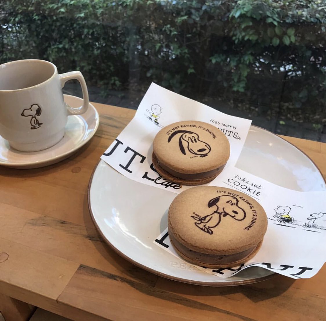 น่ารักมั่กมาก สิ่งดีดีบนโลกใบนี้