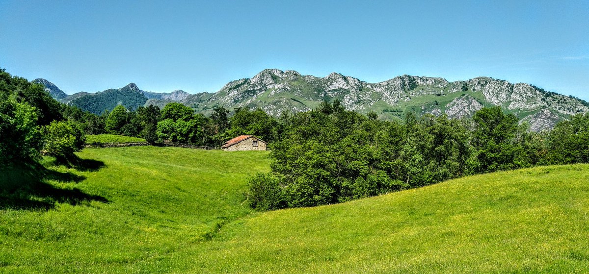 ovizapico's tweet photo. Sábado de #BTT por el #ParqueNaturalDeRedes la montaña verde del #paraísonatural https://t.co/AFf2CyW96u
