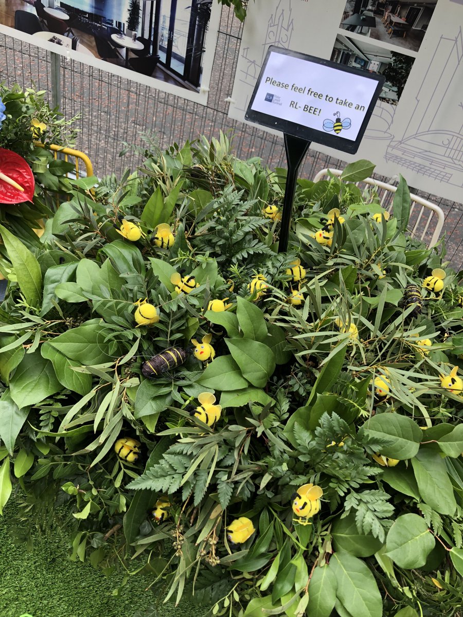 MelFox_AFL's tweet photo. If you’re in Manchester this weekend, don’t miss the chance to see our fabulous flower display today and Sunday on King Street and feel free to grab yourself an RL-BEE!! 🐝 #KingStFestival #ManchesterFlowerShow @rlb_uk https://t.co/xLWZWPHBqE