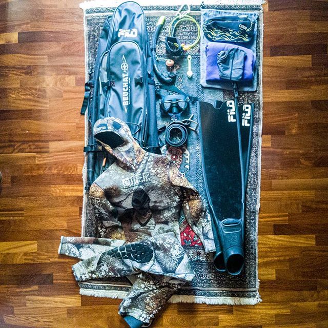 Filippo Giotto tweet media