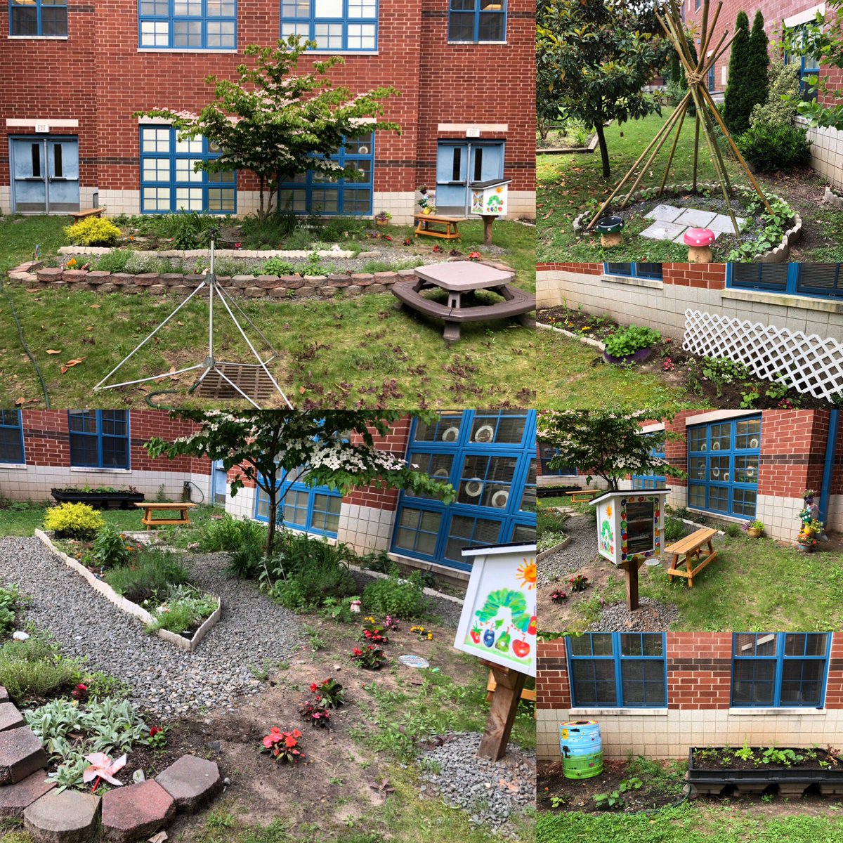 After just a few weeks and some TLC from our school garden club and local Girl Scouts our Elms Learning Garden is in full bloom! @sustainable_jersey <a href="/farmtoschoolnj/">Farm to School NJ</a> <a href="/kidsgardening/">Ron Wolford</a> <a href="/RutgersNJAES/">Rutgers NJAES</a>