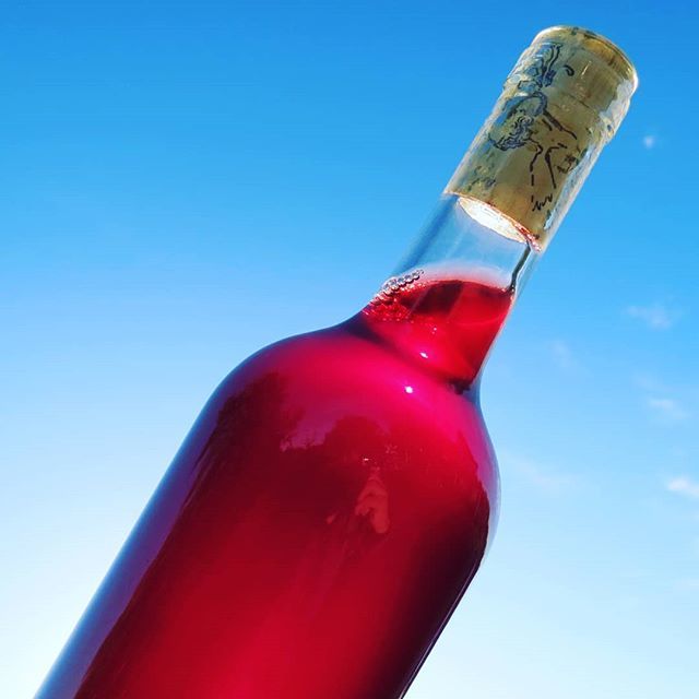 BPFallabrino's tweet photo. La.revolución continúa...
Nuevos vinos para este 2019.
#noso2 #unfilteredunfined #zerointervention https://t.co/xrnbdFQqWP https://t.co/sU755F8tZQ