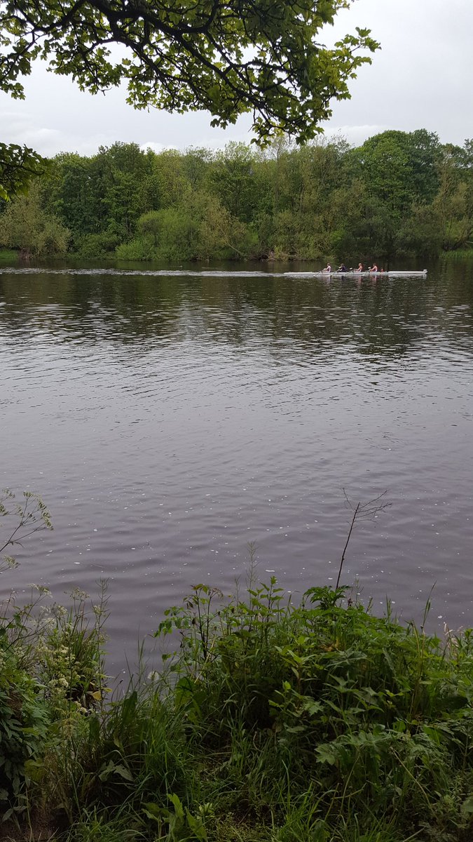 Flowchart1's tweet image. Taking in some racing south of the border