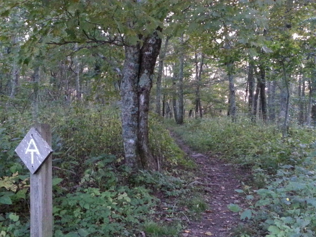 usfs_srs's tweet photo. Do your plans to celebrate #NationalTrailsDay include a trip to your favorite national forest? As you hike or bike, keep an eye out for #ExperimentalForest plots, where scientists conduct long-term #ForestResearch on wildlife, restoration, and more: https://t.co/r9e7iCV8TW #EFR https://t.co/CosEkSJzGB