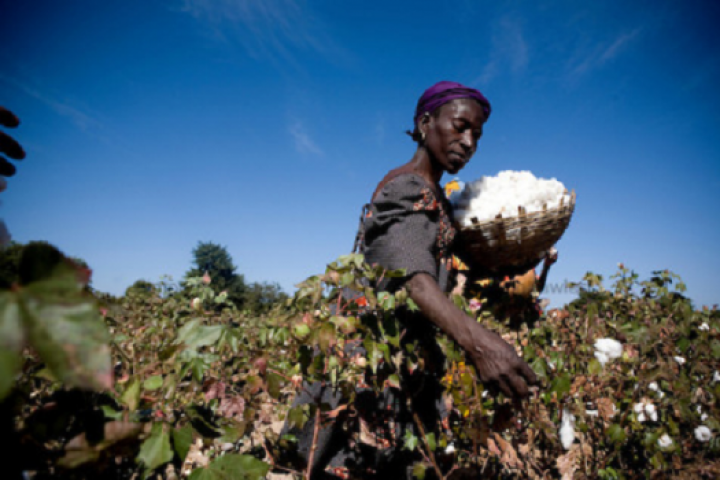 deeplookers's tweet photo. Anchor borrowers intervention programme is unique from past initiatives - https://t.co/w6UUibqCR4 https://t.co/eCYJIyDHd2