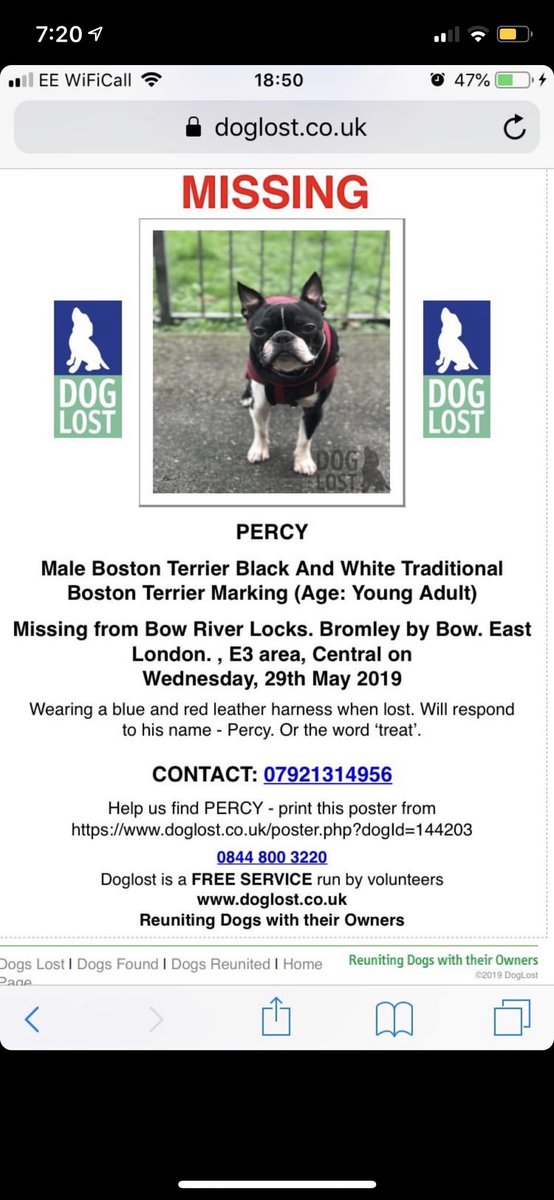 LeanneLeveaux's tweet photo. *PERCY UPDATE - please read*
๐๐ป๐๐ป๐๐ป
Please continue to share his poster, someone knows where he is and we need to find him.
Thanks so much for everyoneโs amazing support in sharing his poster - Iโll link again below. https://t.co/2HNan46ike