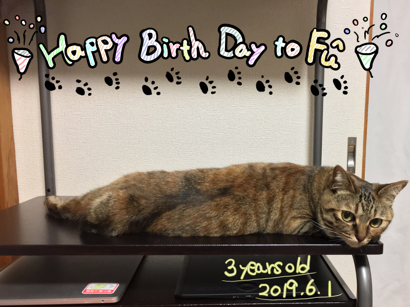 hottospace_r's tweet photo. ６月１日はふうちゃんの誕生日（正確には分からない）
＃誕生日おめでとう https://t.co/FzEhDUK5Fo