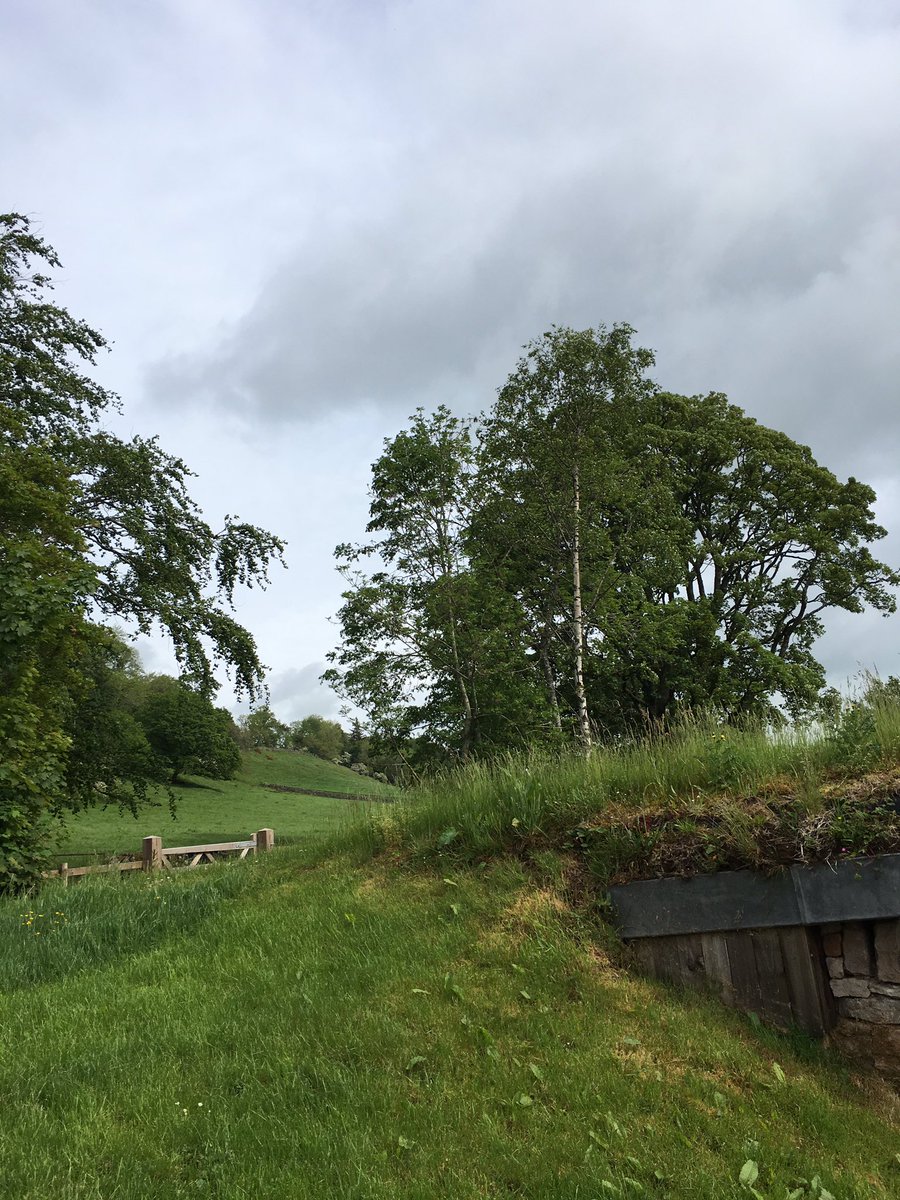 MacPerkins's tweet image. @TheQuietSite wonderful few days staying in aHobbit Hole #funandquirky impressed with recycling ethos too #carefortheplanet