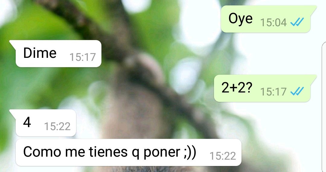 xexu_fernandez's tweet photo. Vine buscando cobre y encontré oro https://t.co/RGgyelGwAD