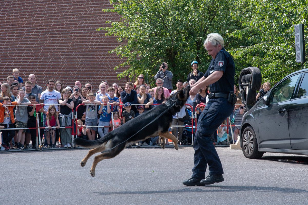 EbnerFoto's tweet photo. Hamburg-Aktuell..
#Billstedt PK42..
Tag der offenen #Tür im #Polizeirevier in #Billstedt.. Hunderte #Besucher ein voller #Erfolg.. Marek #Erhardt und Kay #Tegtmeyer signierten ihr #Buch Under Cover.. @BILD_Hamburg @polizISTmensch @PolizeiHamburg https://t.co/KoPBnwJXgb