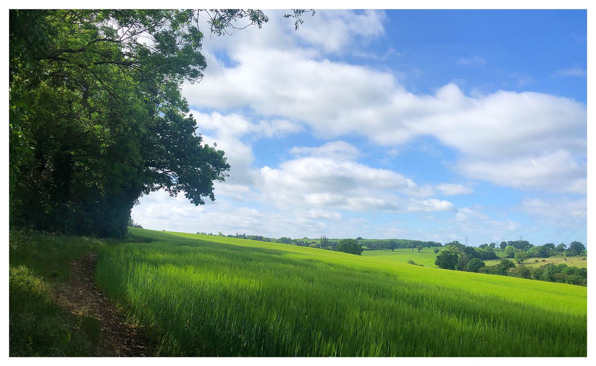 dan_f_fletcher's tweet photo. #Radlett #Hertfordshire #england #beautifulengland #countryside #agreenandplesantland https://t.co/zF4OqS92xn