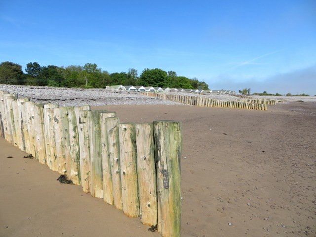 Exmoor NPCs tweet media