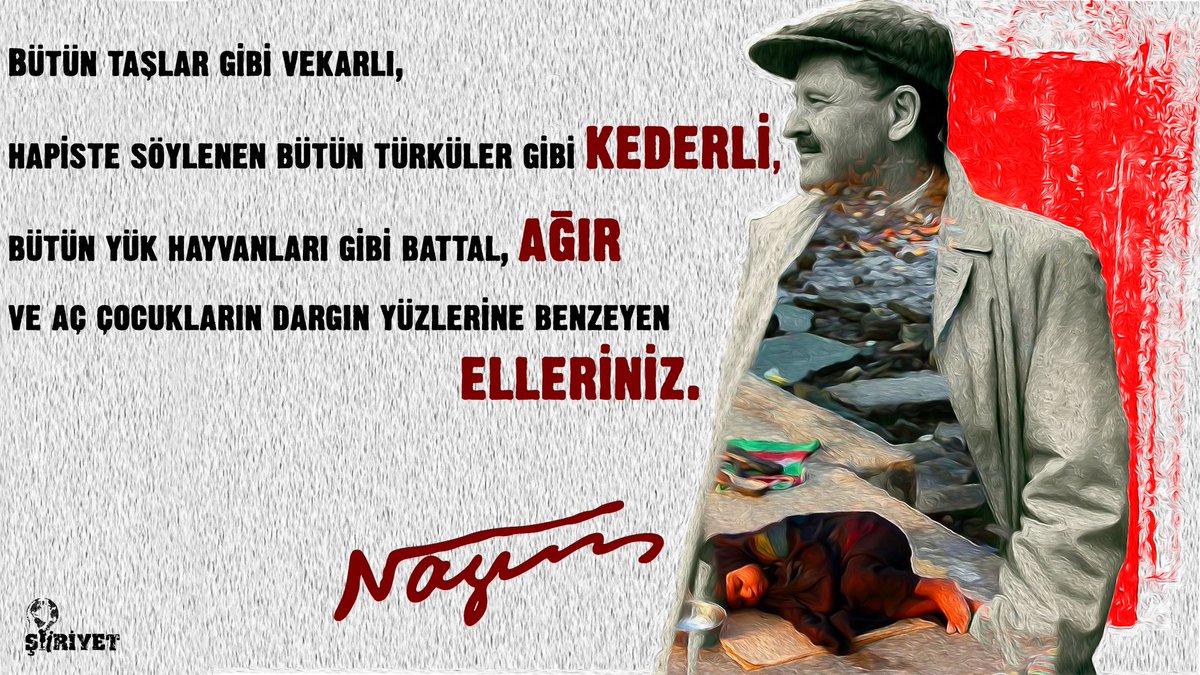 Kochada ozini taklif qiladi