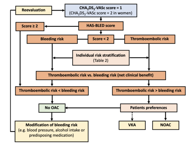 gonzaeperez's tweet photo. ANTICOAGULACIÓN CON CHADS VASC 1 EN #AFib
-Solo evidencia de estudios observacionales, hay bajo riesgo tromboembolico
-HAS BLED ≥2 no recomendable anticoagulación
-Edad y Diabetes son factores individuales más importantes
#DOAC #Warfarin @ESC_Journals
https://t.co/I0Ofgvvz4p https://t.co/MuiWiW6qay