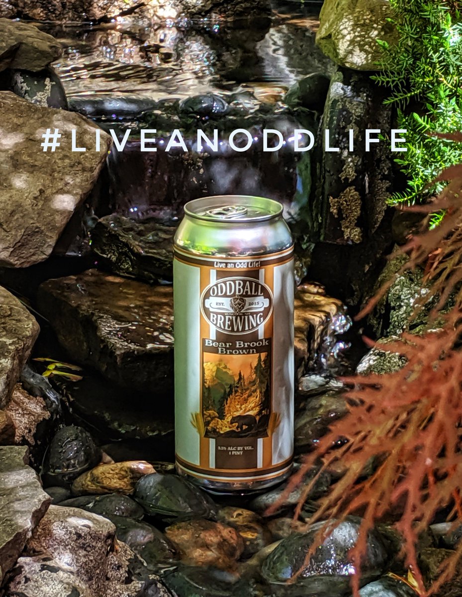 Oddballbrewing's tweet photo. Heading out for a day of adventures? Stop in before or after and grab a flight, pint and take some home! We are open today 1-6 and 12-5 tomorrow. Cheers! #nhbreweries #nhbrew #liveanoddlife #cheers #shoplocal #nhbeertrail https://t.co/TLZWNixVWh