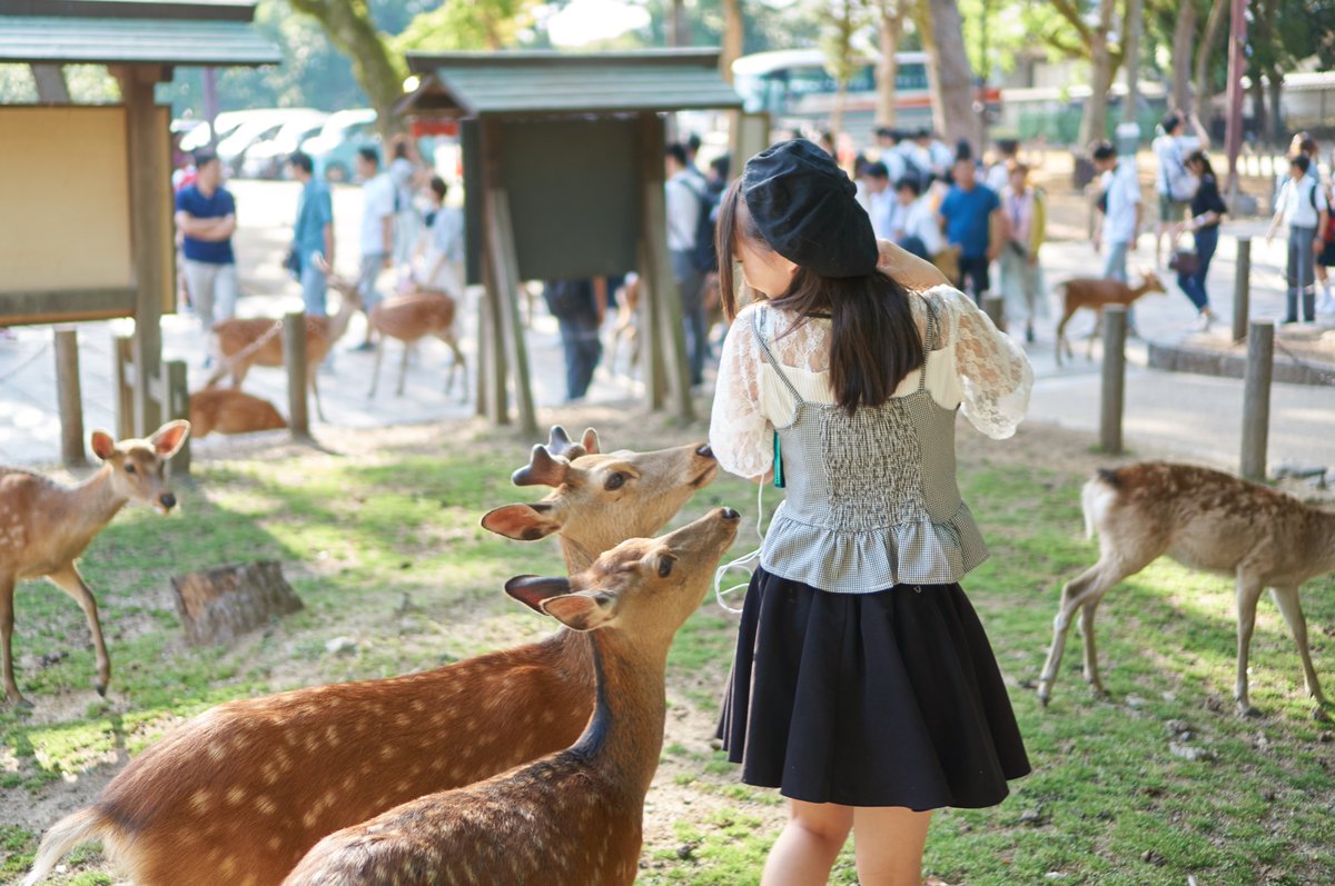 鶯籠鹿 Hashtag On Twitter