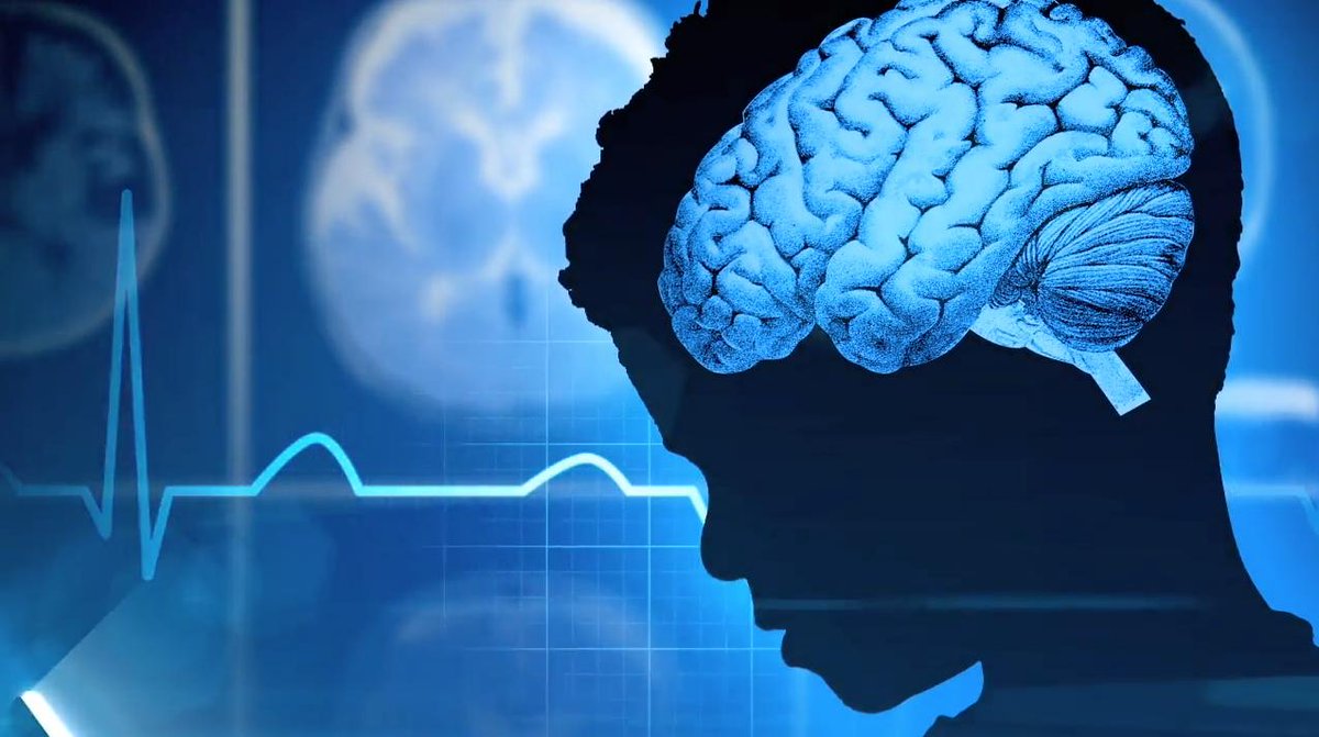 IDEAS Immersion tweet media