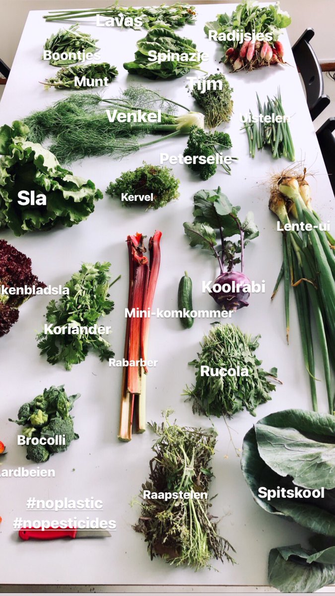 StephaJacobs's tweet image. Even snel langs het veld. #csaboerderij #plasticfree #shoplocally #supportyourfarmer