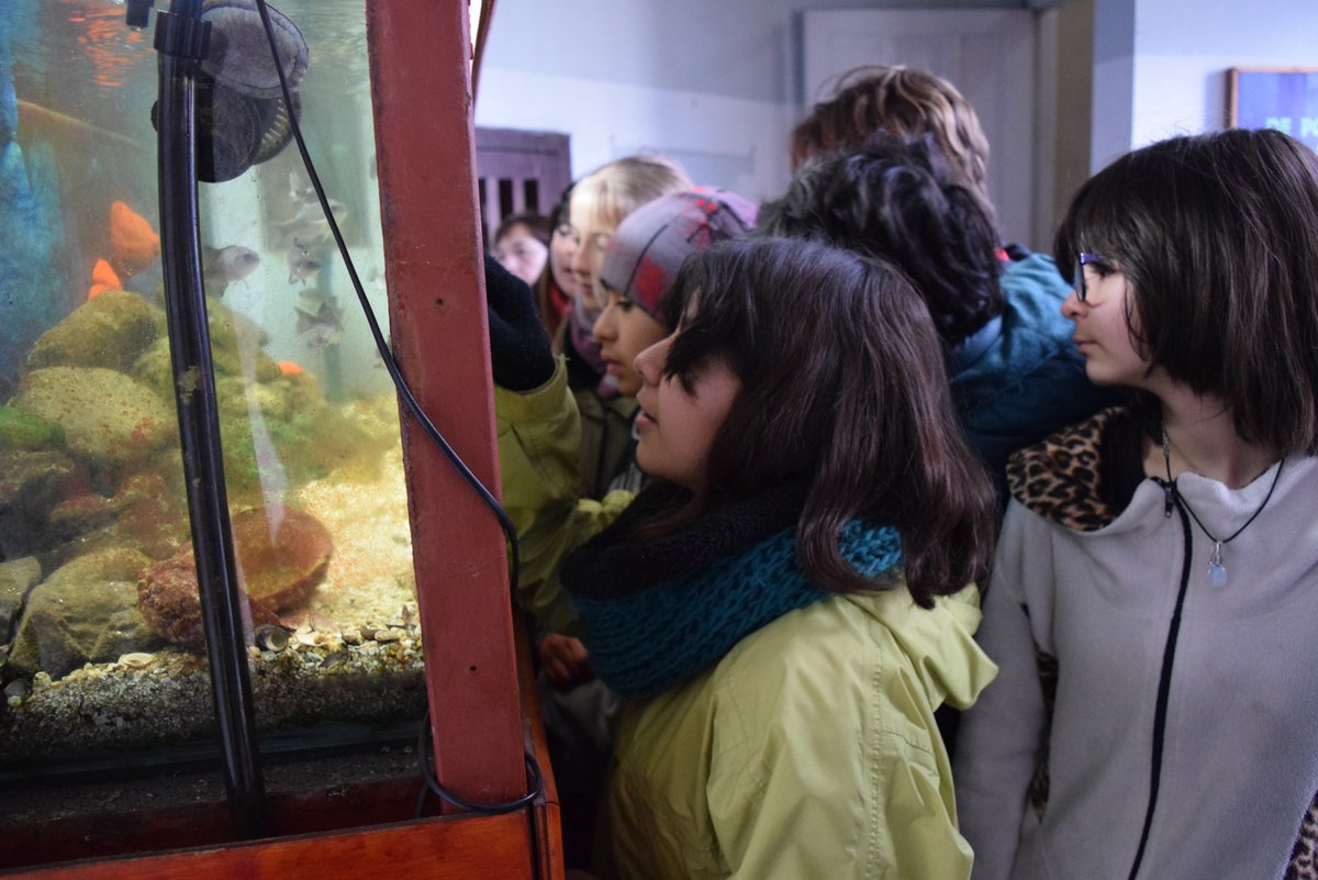 Ahora en la <a href="/ECM/">Eric Morgan</a>... Visita del Colegio Montealegre de Viña del Mar. Gracias al Dr. Eduardo Quiroga, Constanza Low Guerra y Juan Pablo Monsalve Quiroz por su colaboración.