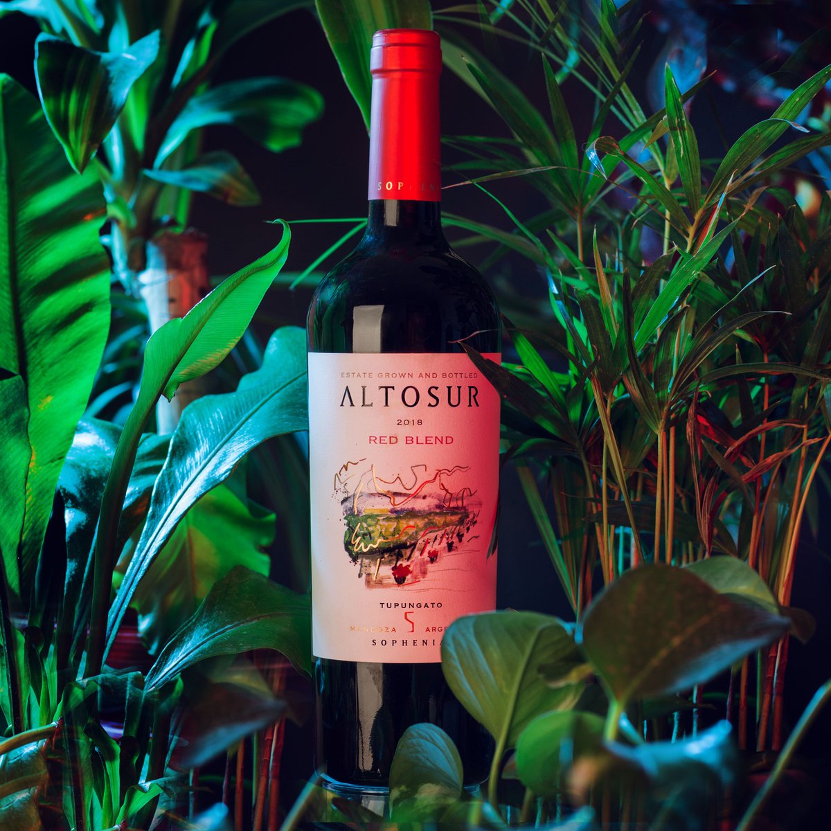 FincaSophenia's tweet photo. Jugosidad y frutosidad son las características del primer vino de corte de la línea ALTOSUR.
#ALTOSUR #RedBlend #TropicalNeon #Gualtallary https://t.co/GmBMVZJJ6p