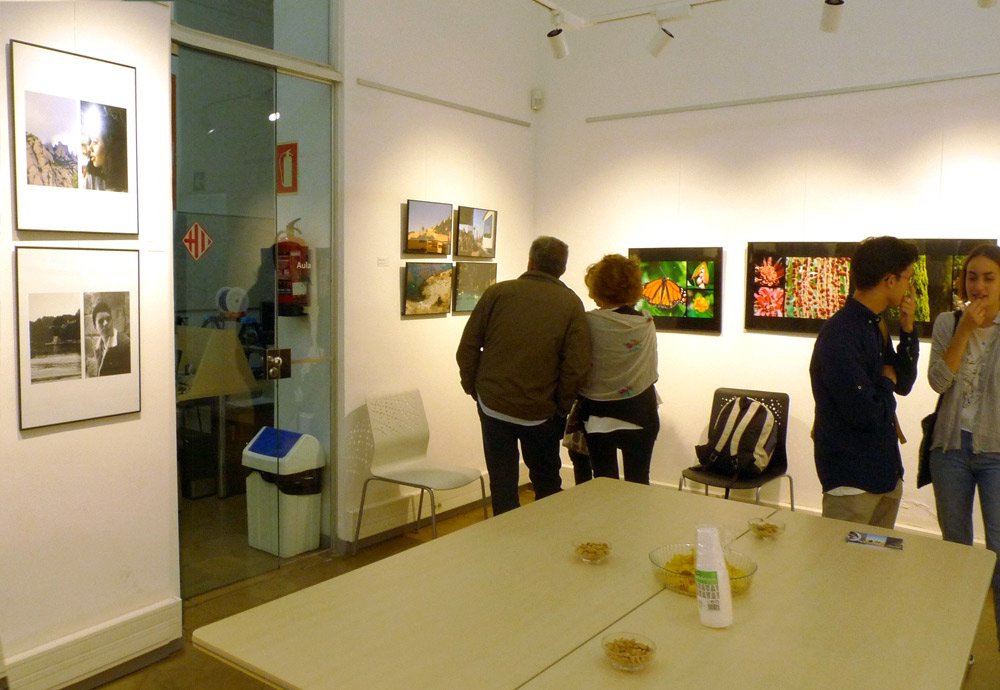 Escola Groc tweet media