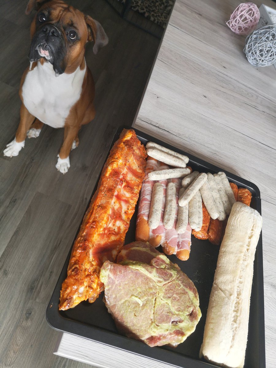 hasi176's tweet photo. Da wartet schon jemand auf seine Würstchen 🤭🐶💕
#django #boxer #hundeliebe #hundemama https://t.co/eB4quFX5v4