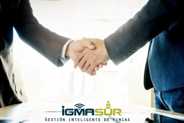 igmasur tweet picture