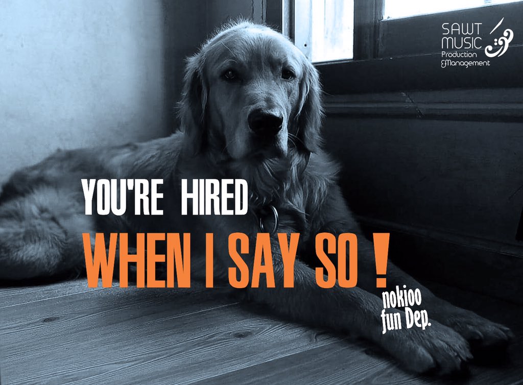SawtMusic's tweet photo. We're hiring! 
•Senior HR Manager
•Senior Marketing Executive
•Social Media Manager/Specialist
•Art Director
•Senior 3D Designer
•Office Manager 
•Senior &amp; Junior Account Managers
•Video Editor Animator
•PR Manager
Send your CV to: Vacancies@chiselnetwork.com https://t.co/bNLSiqLmv3