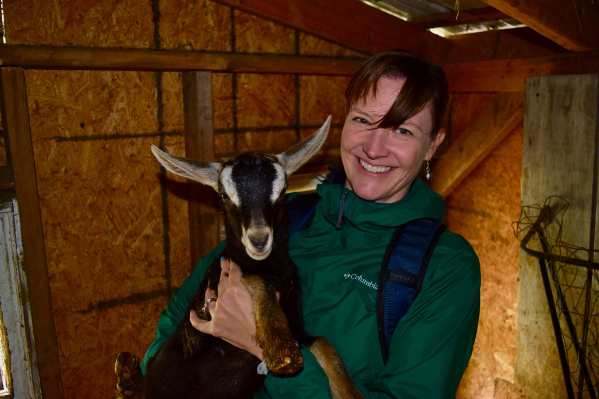 TravelTravel's tweet photo. Happy in Vermont getting to know Amber Griffith's goats. This one is named Cocoa. Check out the When Words Count Writing Retreat near Rochester, VT. It's a secret little haven. https://t.co/x745K2pCKn