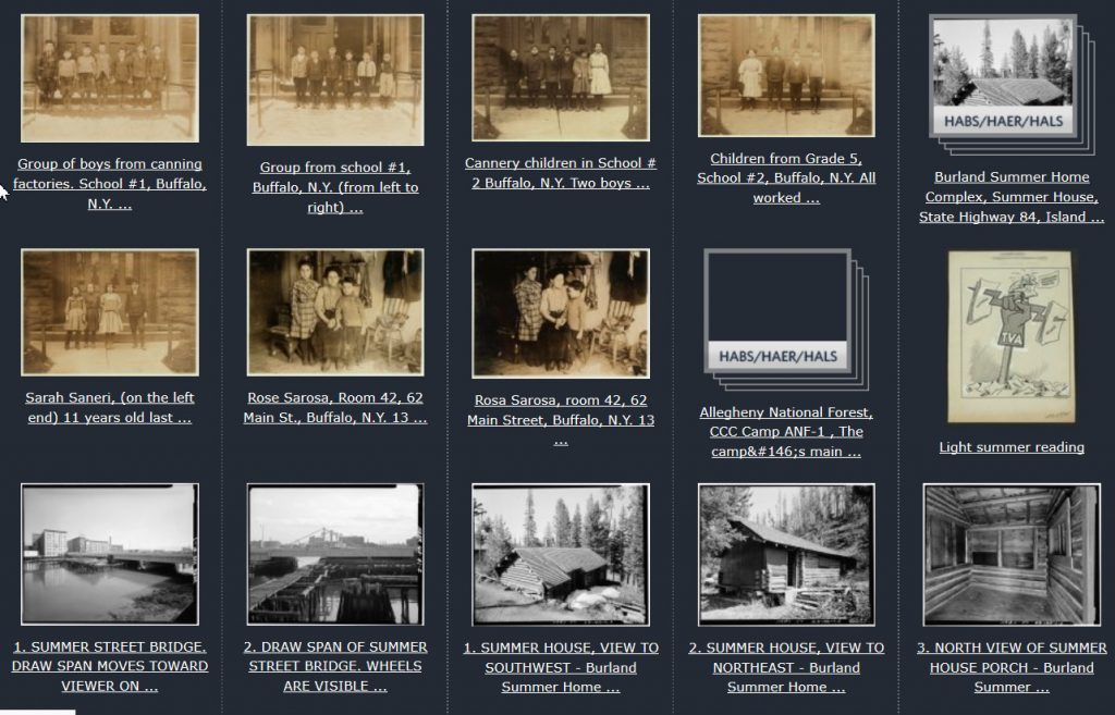 TheCleanNation's tweet image. Summer Search: A Plum Assignment from @LibraryCongress bit.ly/2Kdpl8A