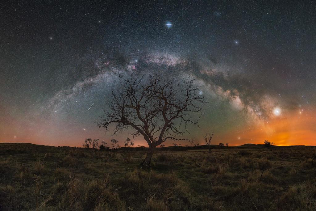 Best_Space_Porn's tweet photo. A milky way panorama over some trees in Saskatchewan [OC] https://t.co/ATRkGwxaV2