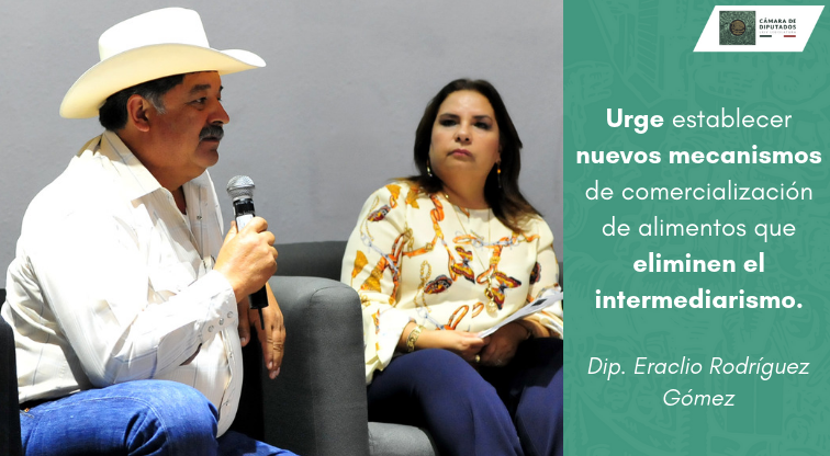 Mx_Diputados's tweet photo. 📌 Acercar a los productores de alimentos con los consumidores permitirá una mejor distribución a precios accesibles, consideró el diputado Eraclio Rodríguez, en los #ForosPND. 🌽🚜
ℹ https://t.co/DVT2frT8SO https://t.co/T2vvbWoFjK