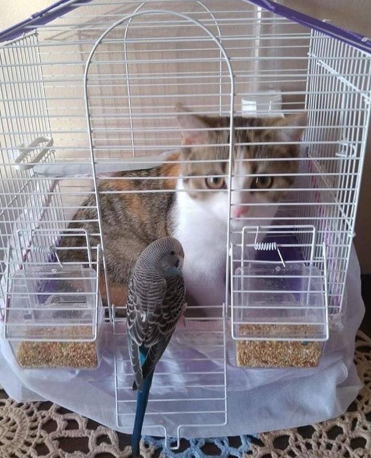 ★ MVK (@knya3e8) on Twitter photo 